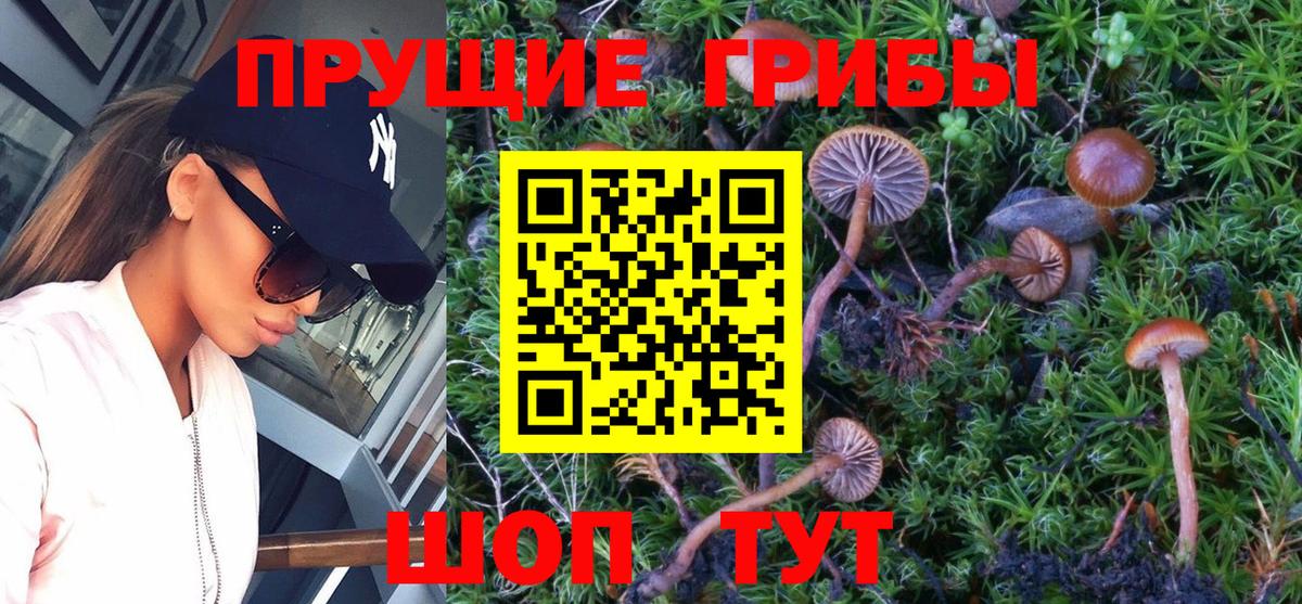 Галлюциногенные грибы Cubensis  Галлюциногенные грибы Psilocybe  Коряжма  Вход с VPN 
